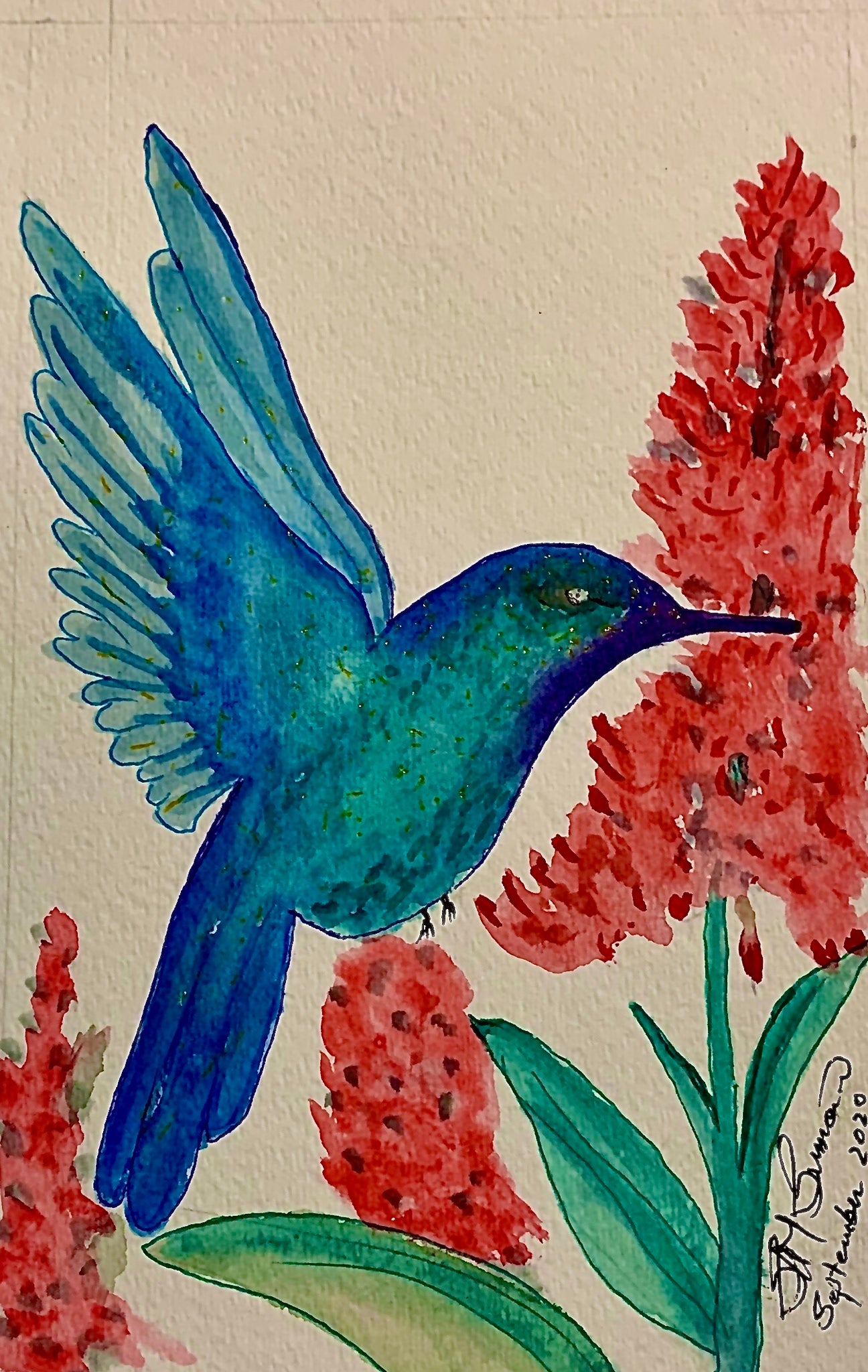“Hummingbird” Watercolor: 2020 edition print
